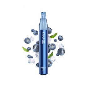 KIWI GO - POD USA E GETTA - BLUEBERRY ICE