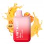 LOST MARY BM600 - POD USA E GETTA - JUICY PEACH ICE