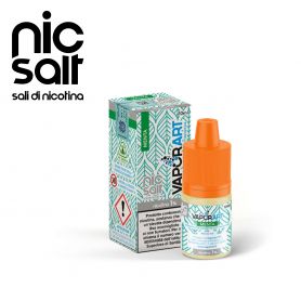VAPORART NIC SALT 10ml - MENTA