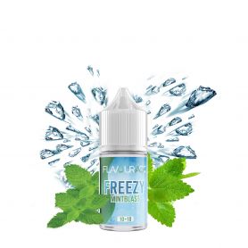 FLAVOURAGE - Mini Mix&Vape 10ml - MINTBLAST - FREEZY