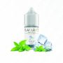 FLAVOURAGE - Mini Mix&Vape 10ml - FREEZY MINT - FRESH