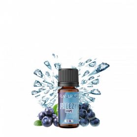 FLAVOURAGE - Aroma 10ml Concentrato - BLUEBERRY - FREEZY