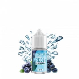 FLAVOURAGE - Mini Mix&Vape 10ml - BLUEBERRY - FREEZY