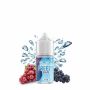 FLAVOURAGE - Mini Mix&Vape 10ml - GRAPE - FREEZY