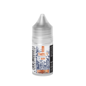 RELOAD VAPE - Mini Mix&Vape 10ml - ORANGE - Amalfi Gin