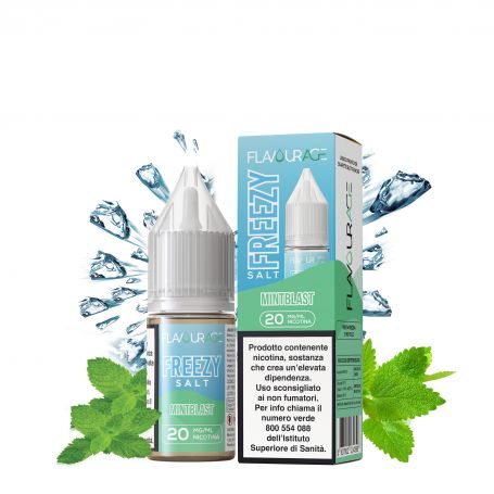 FLAVOURAGE - FREEZY SALT 10ml - MINTBALST